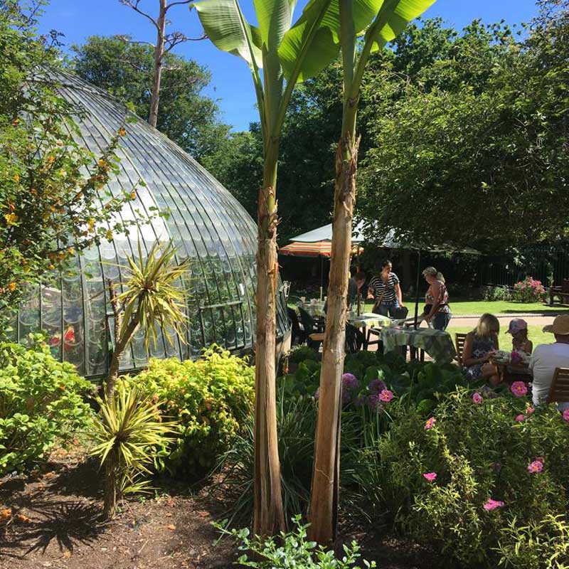 Gallery image at Italianate Glasshouse, Ramsgate